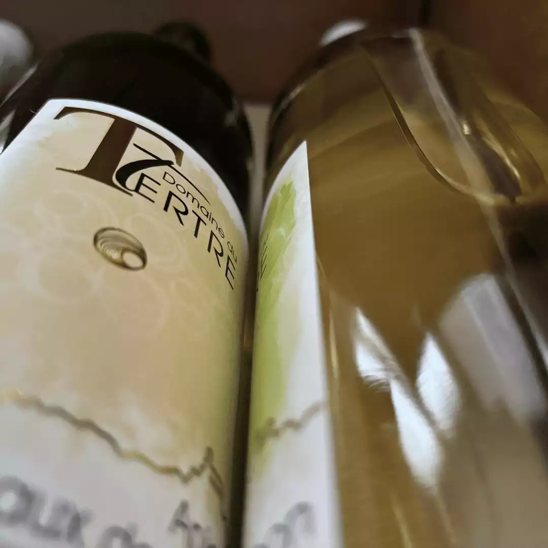 vignoble a côté de la loire